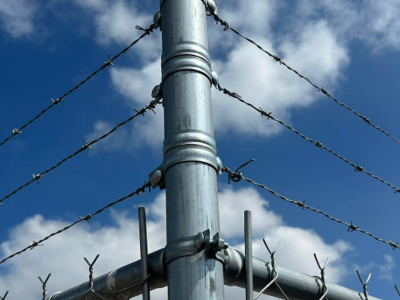 657097238b8a26.88405880