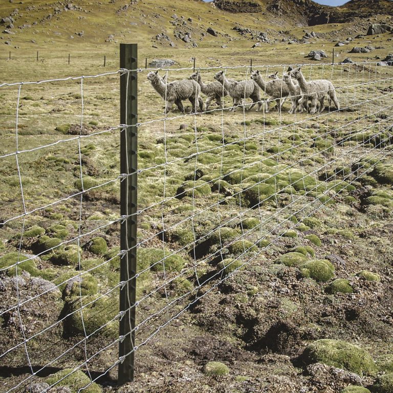 Postes-Ganaderos-Prodac