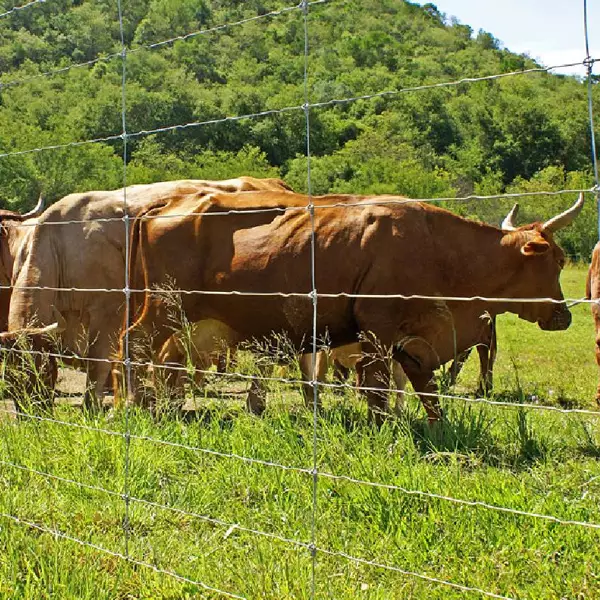 mallas-ganadera-cuadro